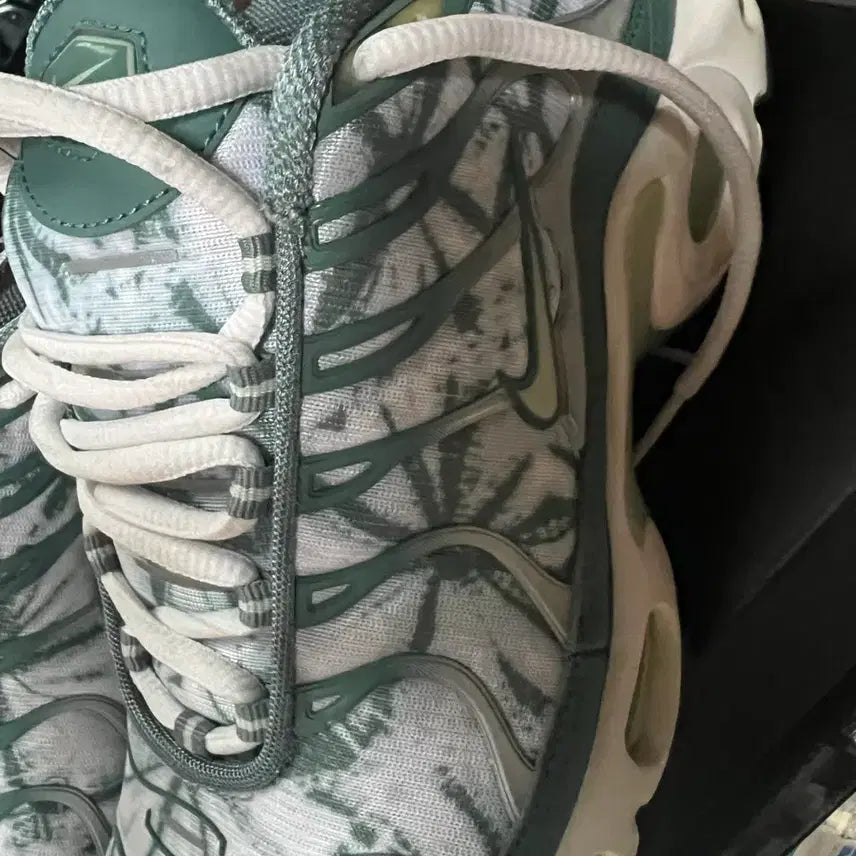 [BUNJANG] Nike Air Max Plus TN Sneakers / 나이키 맥스플러스 tn 새제품 팝니다