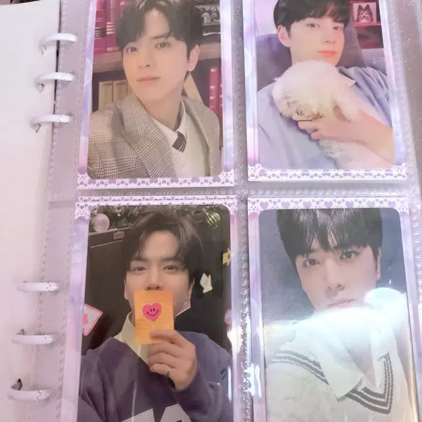 더보이즈 영훈 포카 일괄양도