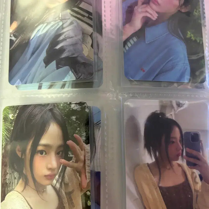 민지 시그 포카 일괄