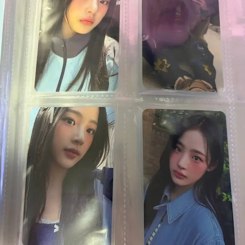 민지 시그 포카 일괄