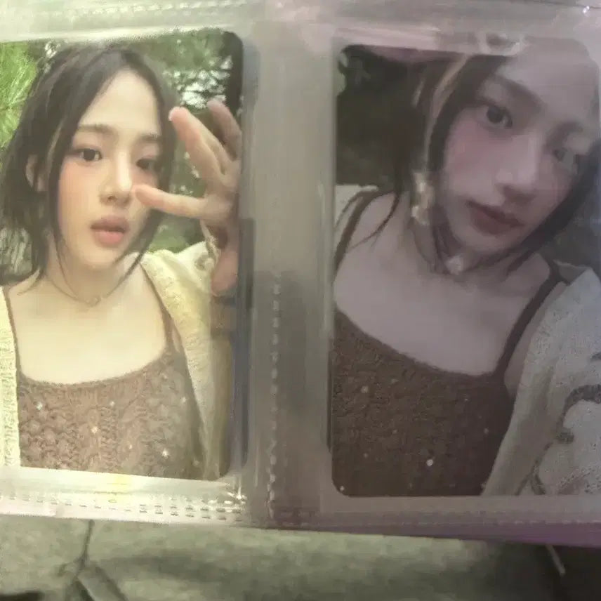 민지 시그 포카 일괄