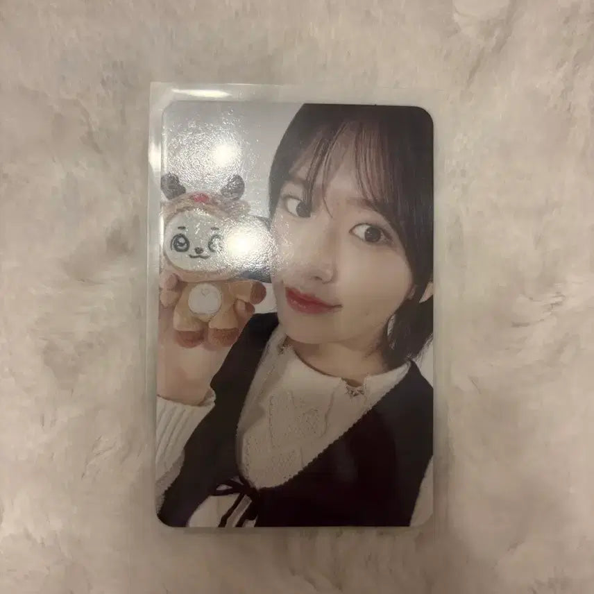 아이브 크리스마스 미니브 강안지 특전 포카 안유진