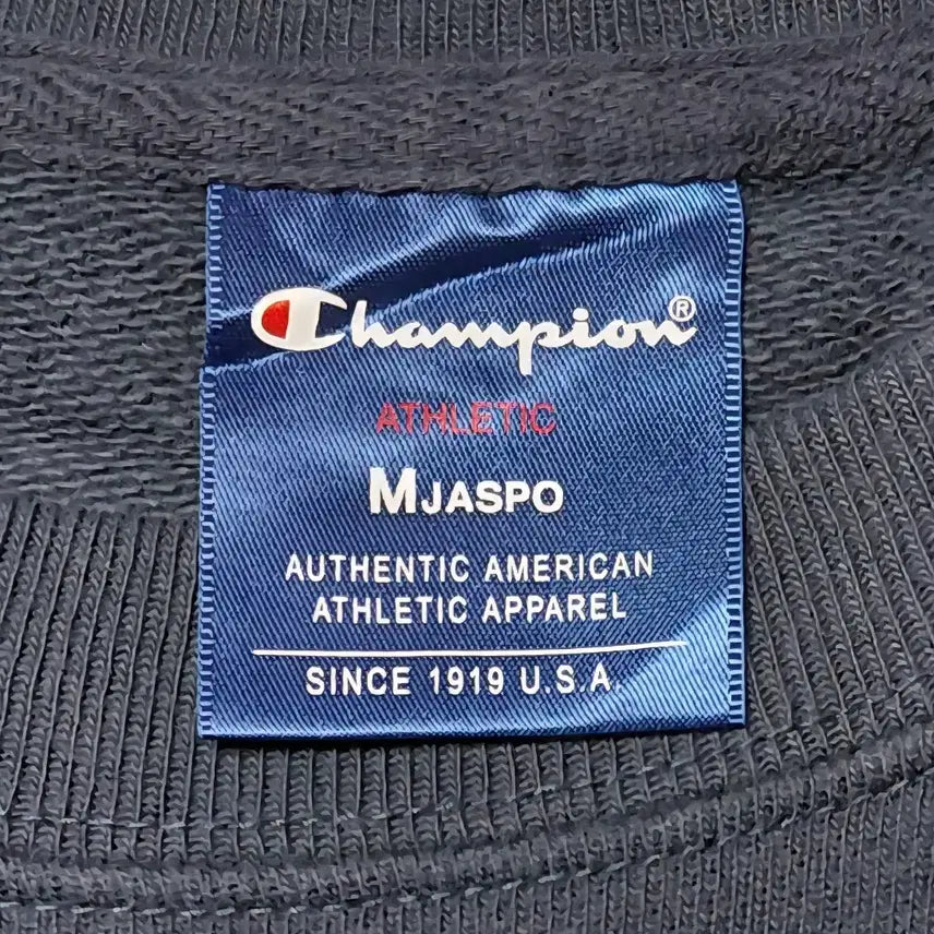 [BUNJANG] Champion Rochester Heritage Graphic Sweatshirt (Navy) / 할인!! [M] 챔피언 로체스터 헤리티지 그래픽 맨투맨 (네이비)