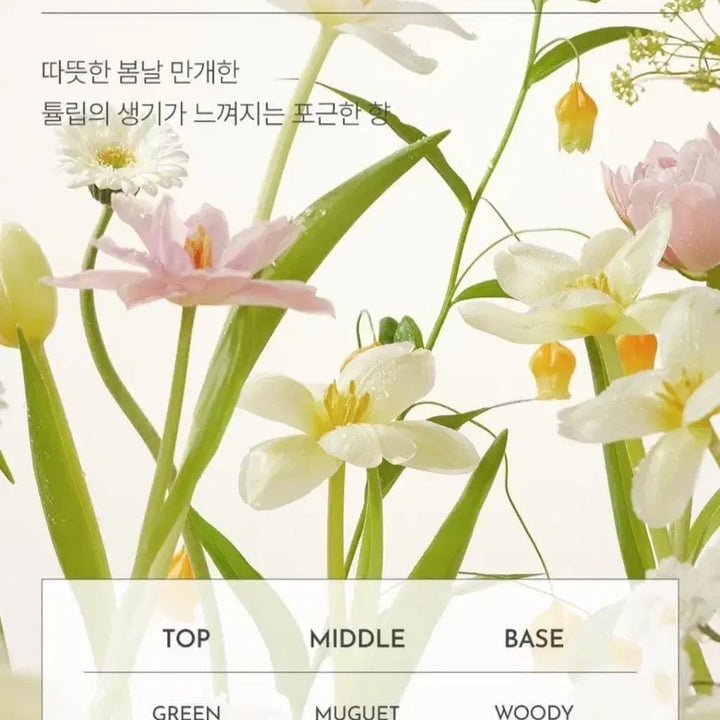 [BUNJANG] Jaysu Volume Hair Fixer 2X / 새상품)제이숲 볼륨 헤어 픽서 2X