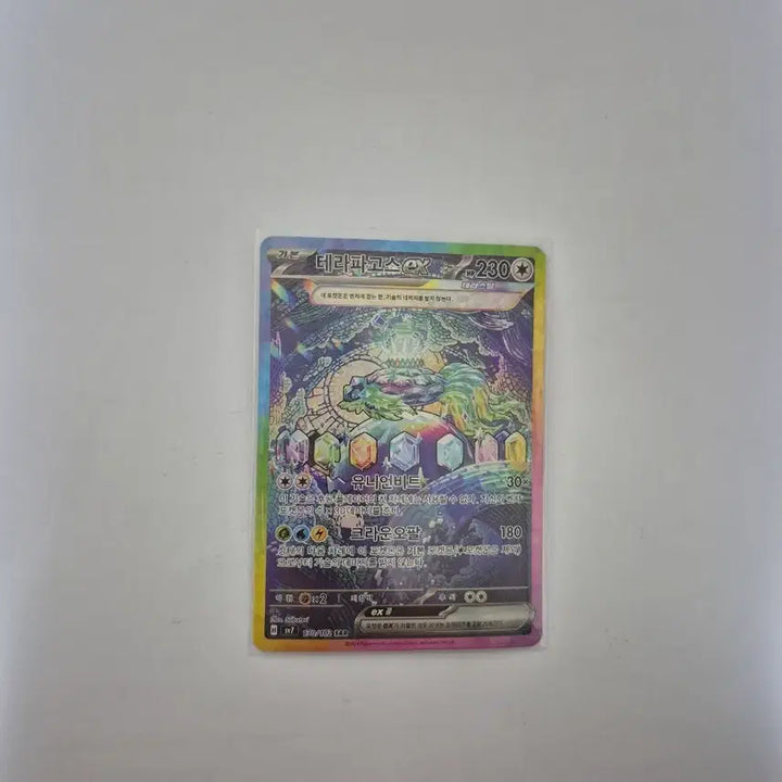 [SOLD OUT] 테라파고스 sar