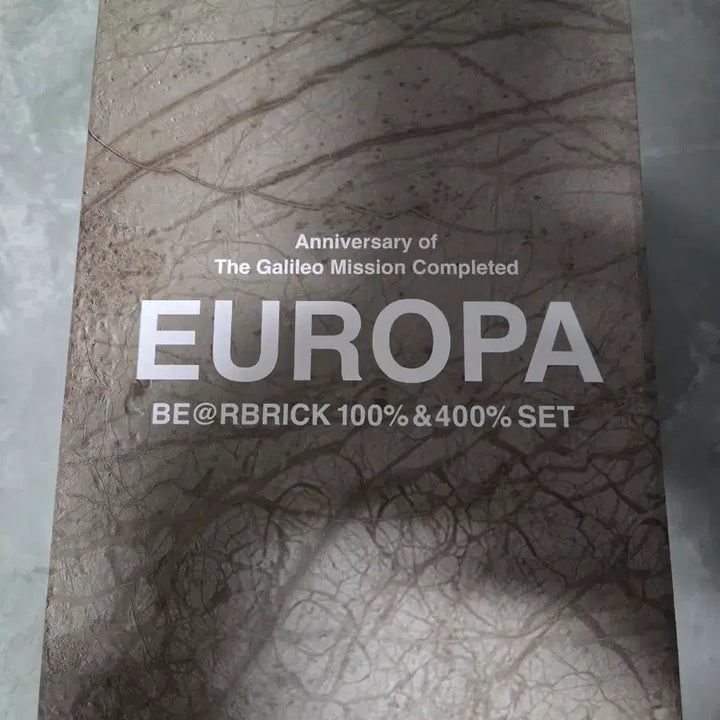 [BUNJANG] Bearbrick NASA Europa Satellite 400% + 100% Figure / 베어브릭 우주관련 유로파 EUROPA 400 100세트