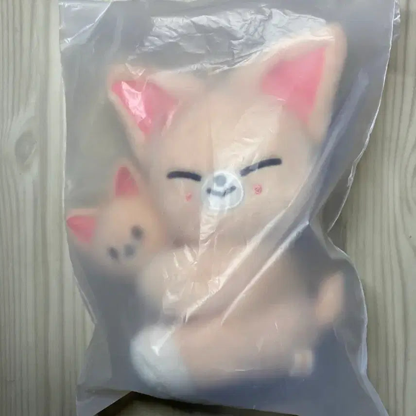 [BUNJANG] Stray Kids Foxiny Magnet Plush (Sealed) / [미개봉] 스키즈 폭시니 마그넷 플러시 양도 판매