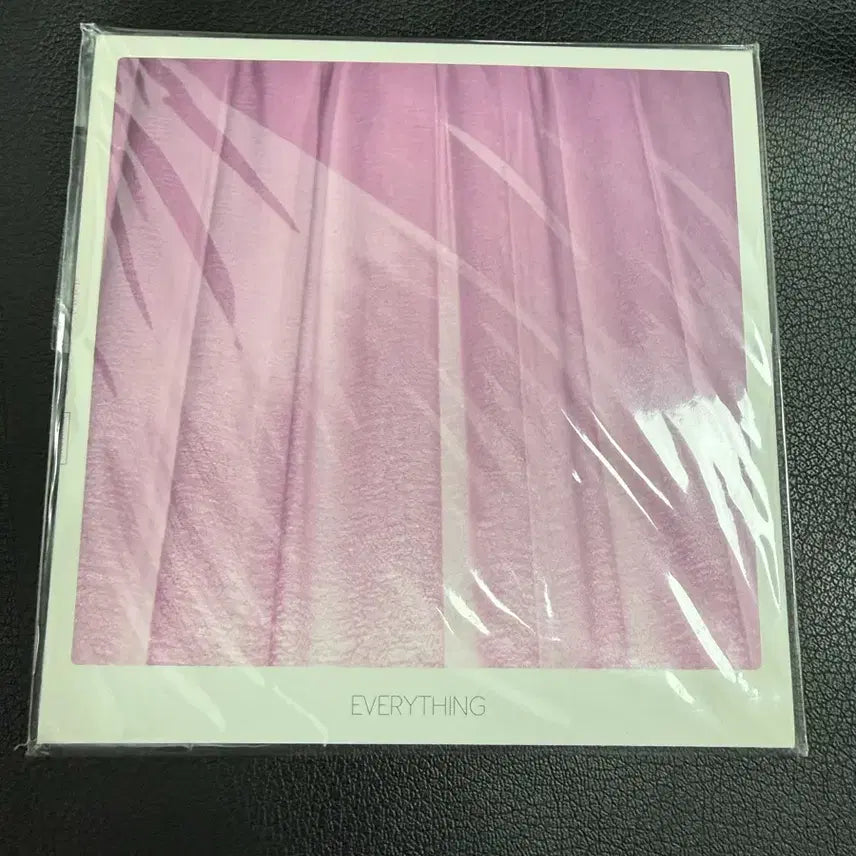 [BUNJANG] The Black Skirts Everything Single Album / 검정치마 싱글앨범 EVERYTHING 판매합니다