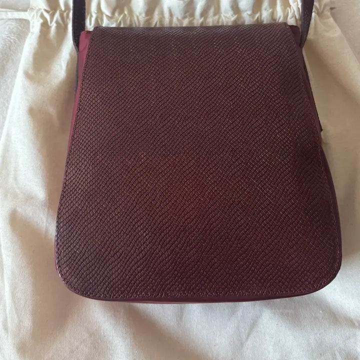 [BUNJANG] Minitmute Tev Bag Mahogany / 실사0/새상품) 미닛뮤트 테브백 마호가니 tev bag