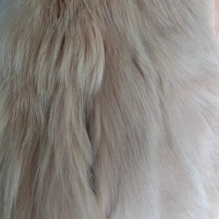 [BUNJANG] Mink Fur Fox Jacket / 폭스자켓 밍크 모피