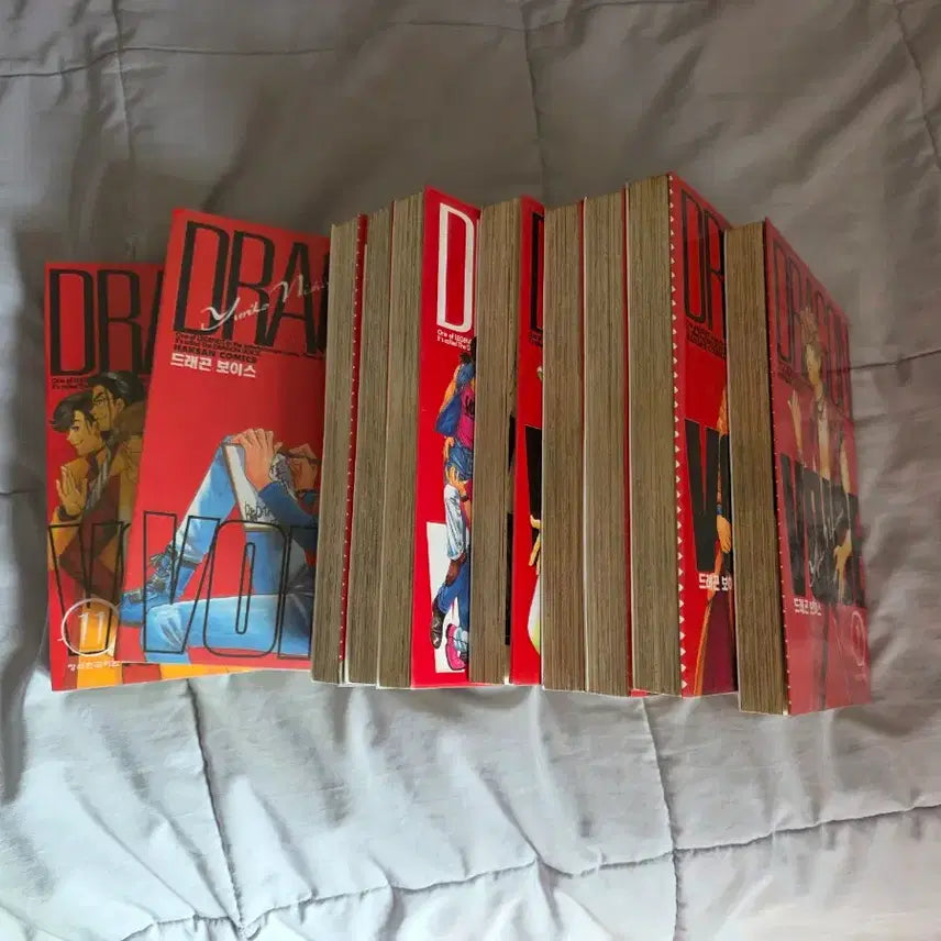 [BUNJANG] Dragon Voice Manga Full Set / 절판명작 소장용 드래곤 보이스 만화책 깨끗한 전권 11권 세트