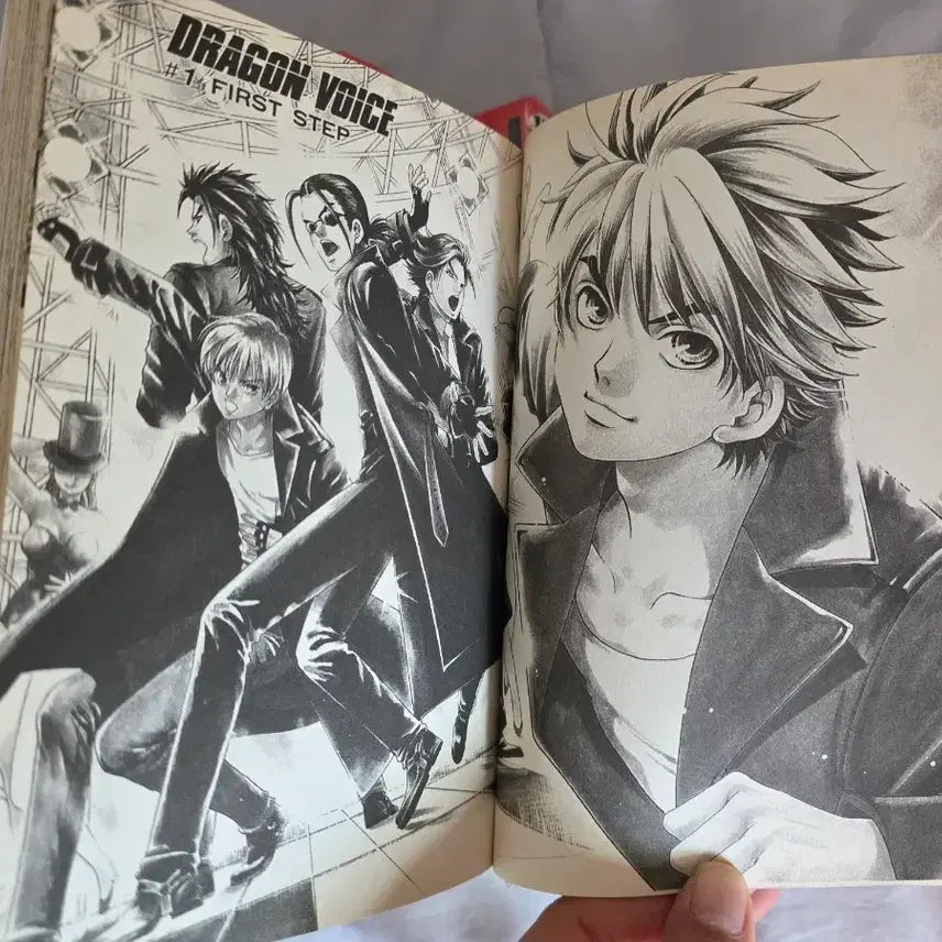 [BUNJANG] Dragon Voice Manga Full Set / 절판명작 소장용 드래곤 보이스 만화책 깨끗한 전권 11권 세트