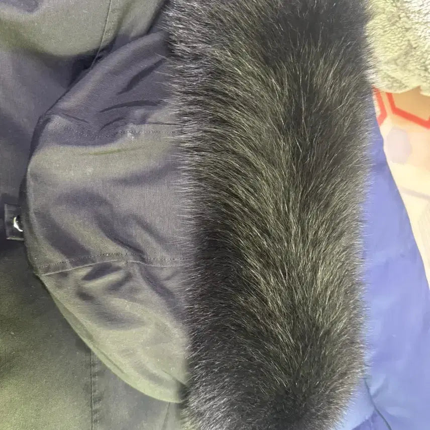 [BUNJANG] Moose Knuckles Black Padded Jacket / 무스너클 블랙 패딩 점퍼