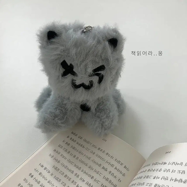 [BUNJANG] TWS Munjin Turyangi / 투어스 먼지 투냥이 양도 tws