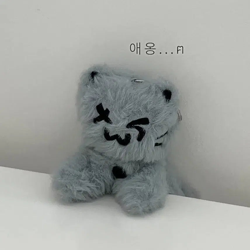 [BUNJANG] TWS Munjin Turyangi / 투어스 먼지 투냥이 양도 tws