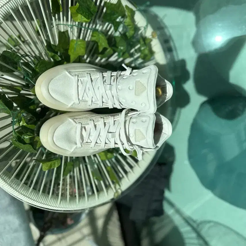 [BUNJANG] Adidas ZNSORED High / 아디다스 ZNSORED 하이