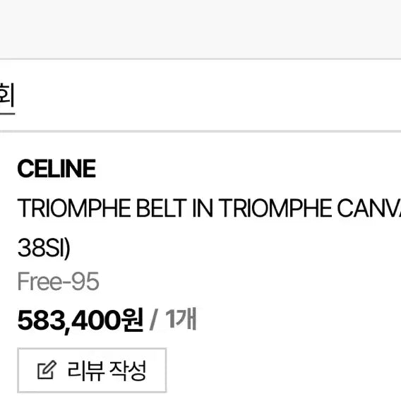 [BUNJANG] Celine Triomphe Canvas Belt Men 95 / 셀린느 트리옹프 캔버스 벨트 남성 95