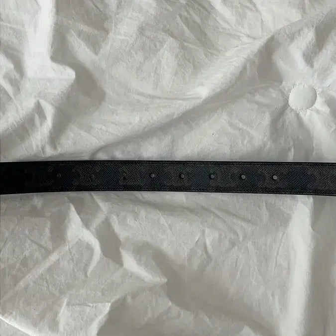 [BUNJANG] Celine Triomphe Canvas Belt Men 95 / 셀린느 트리옹프 캔버스 벨트 남성 95