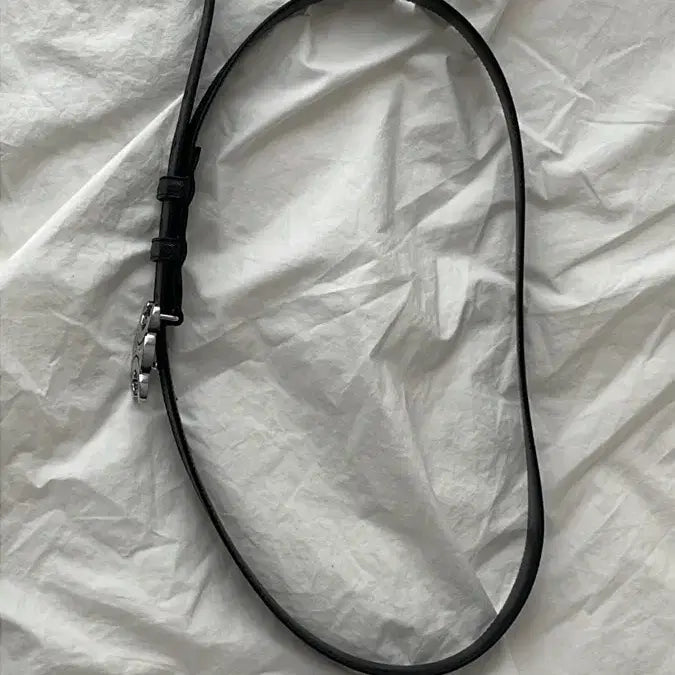 [BUNJANG] Celine Triomphe Canvas Belt Men 95 / 셀린느 트리옹프 캔버스 벨트 남성 95