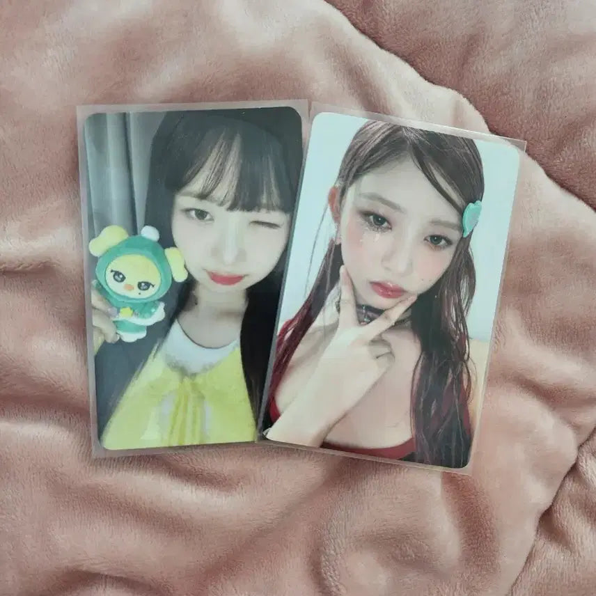 아이브 레이 포카 일괄 양도