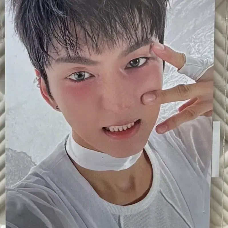 엑디즈 뷰마콘 4만원포카 오드