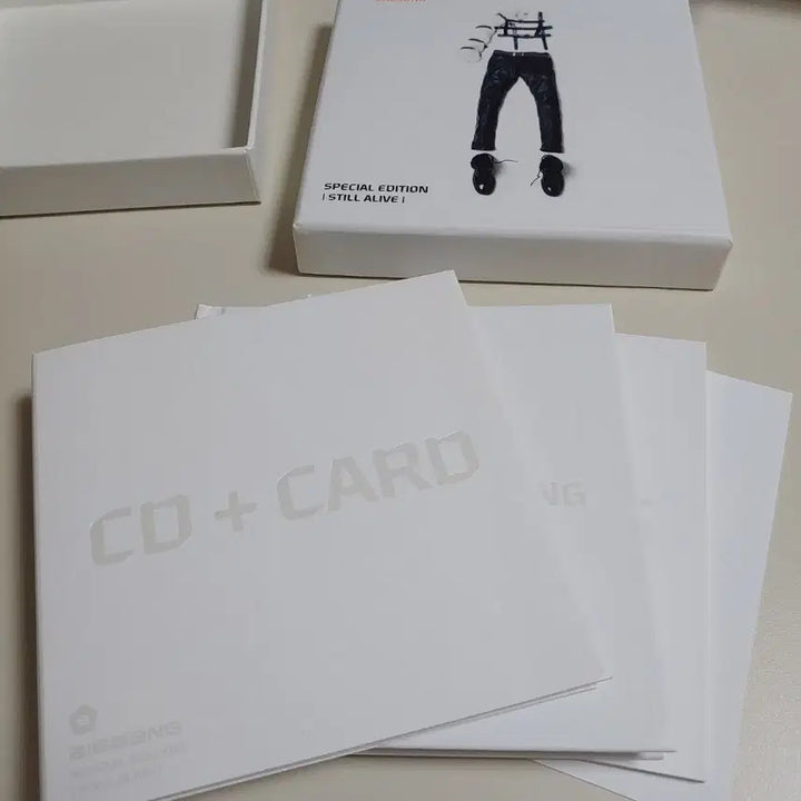 빅뱅 BIGBANG 대성 스페셜에디션 앨범 스틸얼라이브