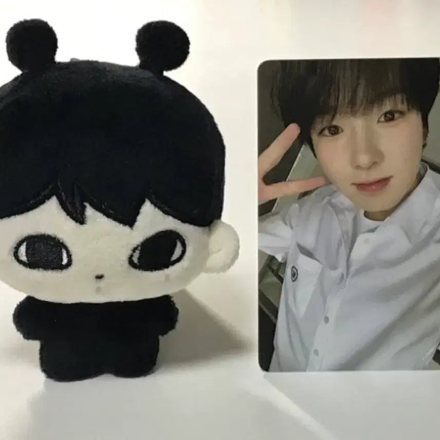 엔시티위시 미개봉 듀듀쿠야 사쿠야 인형  엔위시 nct wish