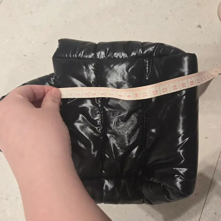 [BUNJANG] The North Face Plumy Padded Mini Bag / 노스페이스 플럼피 패딩 미니 가방