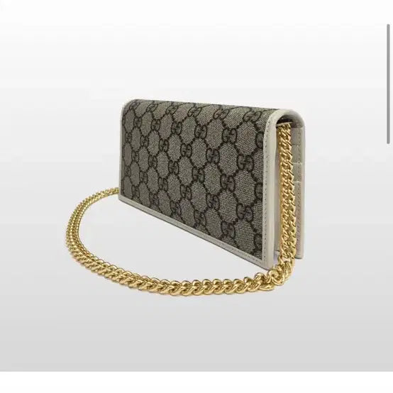 [BUNJANG] Gucci Horsebit Chain Crossbody Bag / 구찌 홀스빗 체인 가방