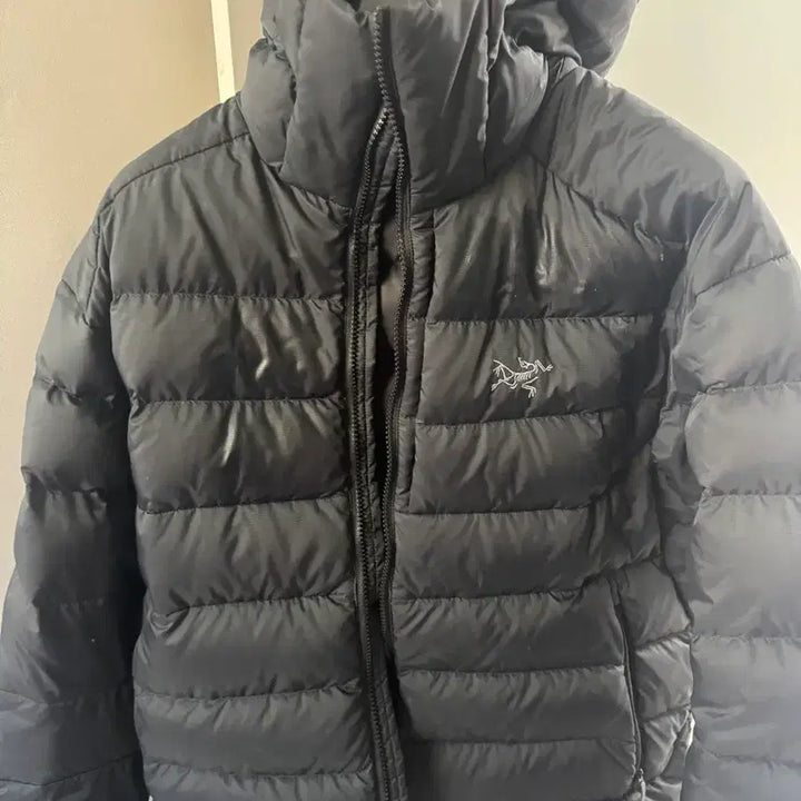 [BUNJANG] Arc'teryx Thorium Hoodie / 아크테릭스 토륨후디