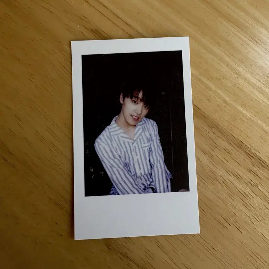 2016 세븐틴 콘서트 포토카드 B 이찬 디노 새상품