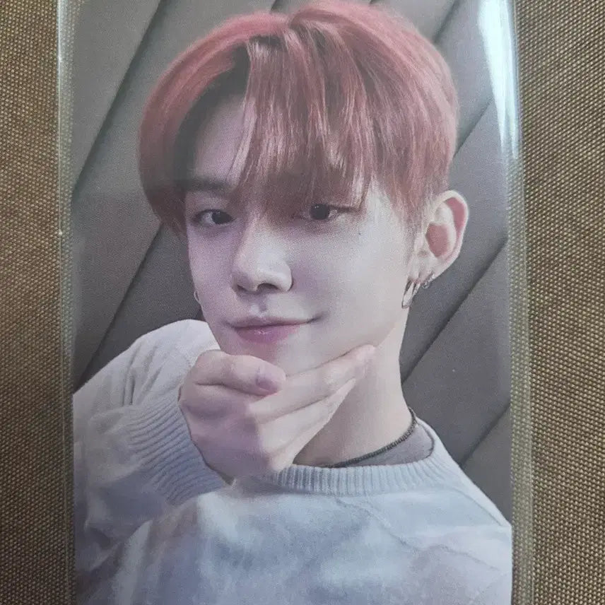 (폭덤)별의장 Sanctuary 디어마이뮤즈 포카