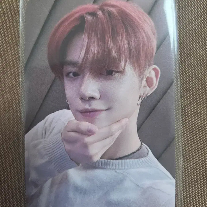 (폭덤)별의장 Sanctuary 디어마이뮤즈 포카