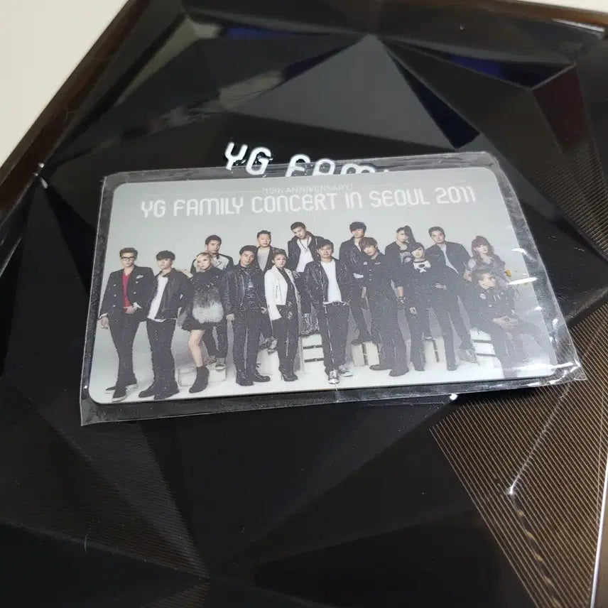 [BUNJANG] YG Family 2011 DVD / YG Family 콘서트 2011 DVD 와이지패밀리