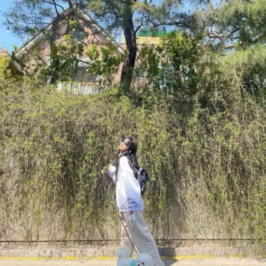 [BUNJANG] Minitmute Clo Backpack Mix Black / 새상품 미닛뮤트 클로백팩 믹스블랙