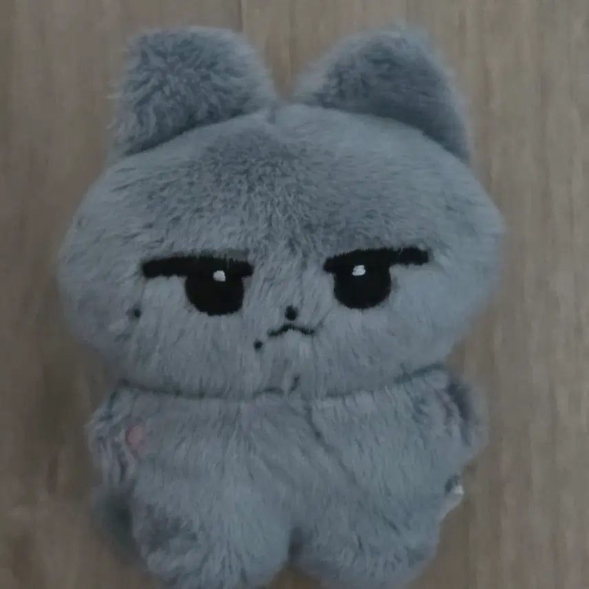 [BUNJANG] SEVENTEEN THE8 Itmyong Doll / 세븐틴 디에잇 인형 잇묭이