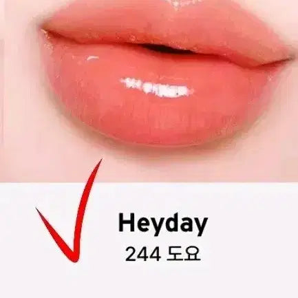 [BUNJANG] Oddtype Mirror Tint 244 Doyo / 오드타입 미러틴트 244도요