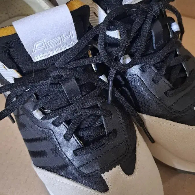 [BUNJANG] ASH Sneakers / 아쉬 스니커즈