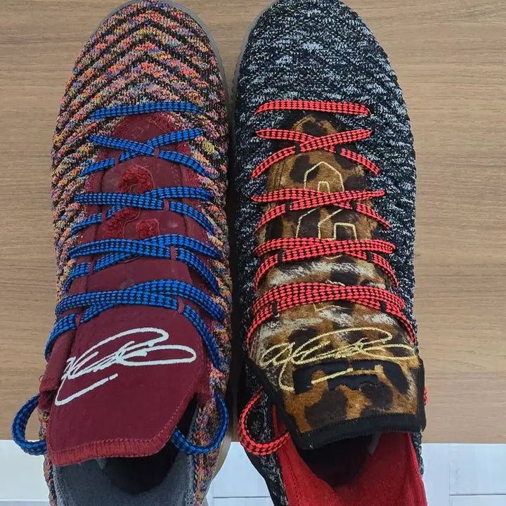 [BUNJANG] Lebron 16 What The / 르브론 16왓더 275