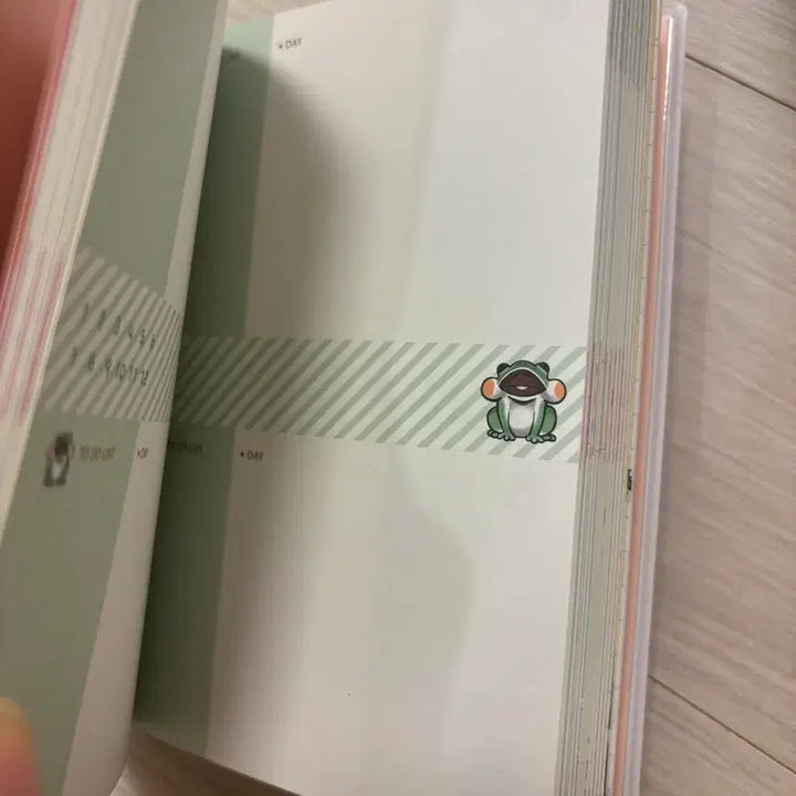 [BUNJANG] Nameko Diary / 나메코 다이어리 새제품