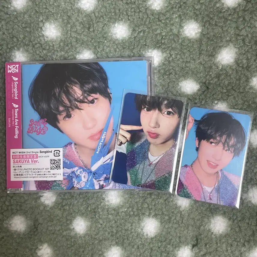 엔시티위시 사쿠야 송버드 일본반 개인반 앨범 + 포카 일괄