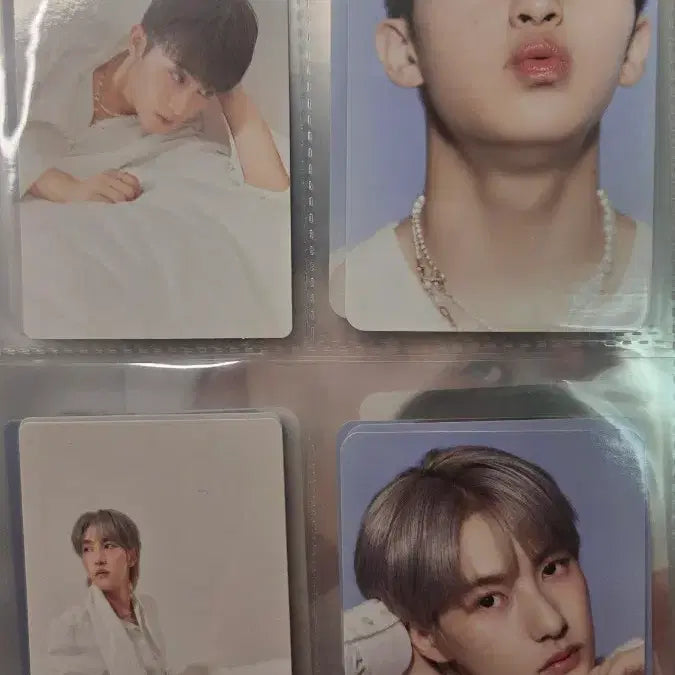 엔시티드림 시즌그리팅 포토카드