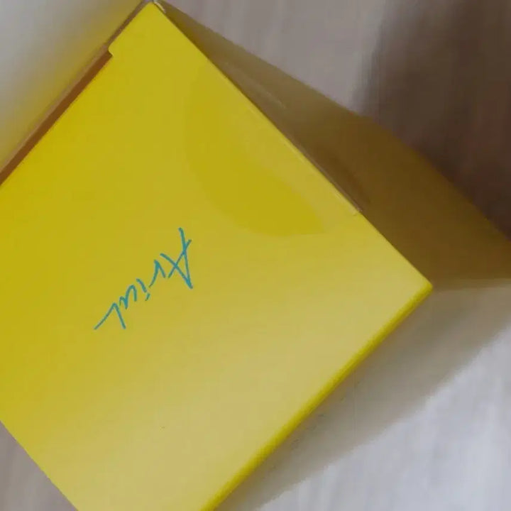 [BUNJANG] Ariul The Perfect Pumpkin Clay Pack Cleanser / 아리얼 더 퍼펙트 호박 클레이 팩 클렌저