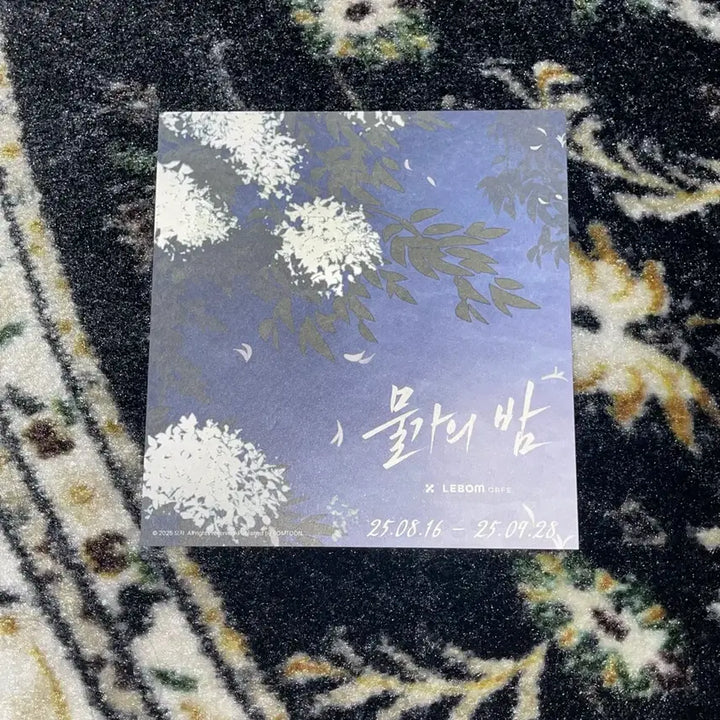 [BUNJANG] Dreamcatcher Siyeon Gift Photocard Set / 물가의 밤 레봄 카페 방문 특전 엽서 의현 기프트 포카 세트