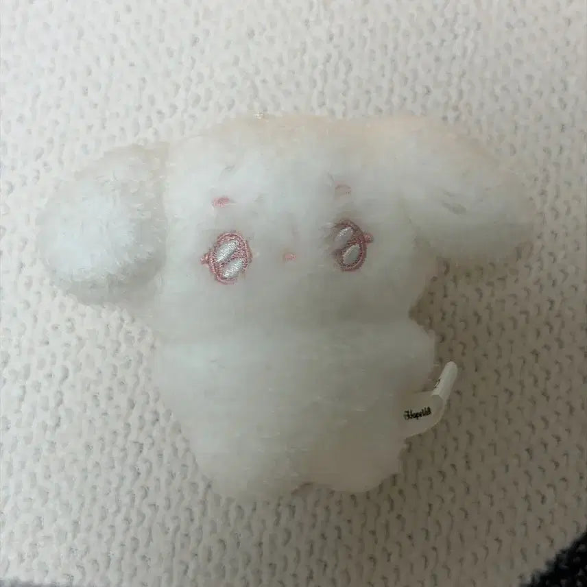 [BUNJANG] RIIZE Sungchan 10cm Doll / 라이즈 성찬 뭉짜니 10cm 양도