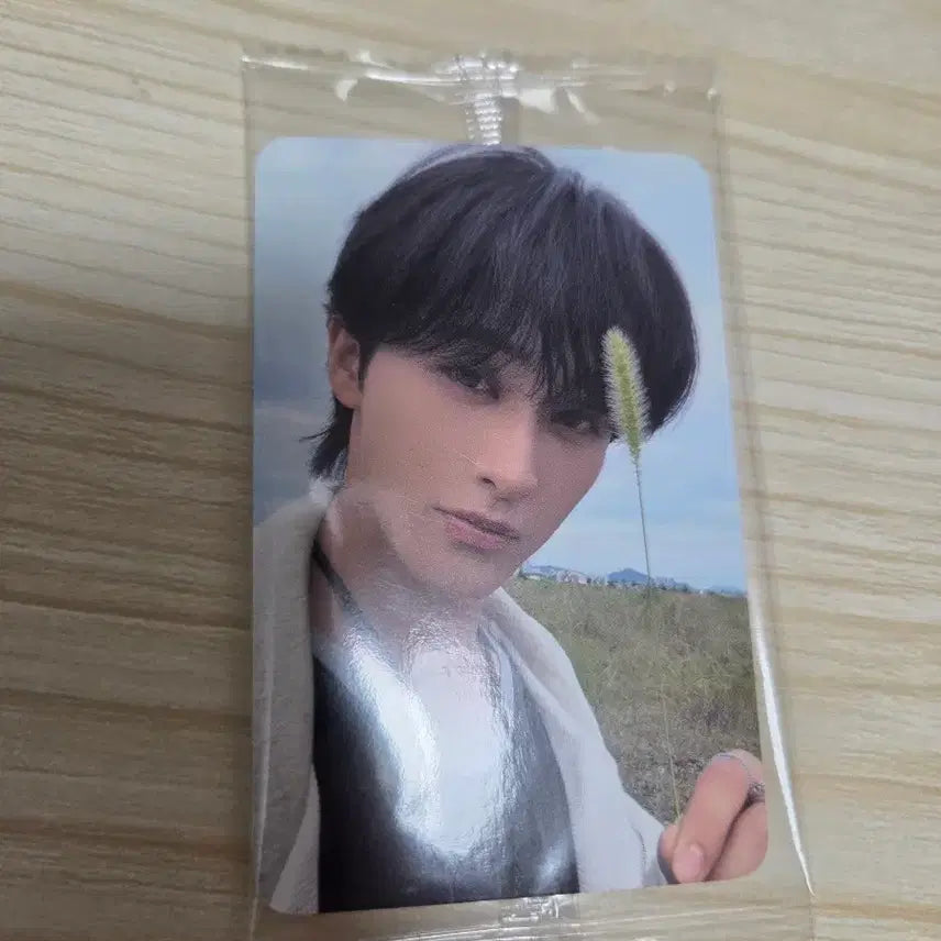 엔시티드림 마크 케타포 럭드