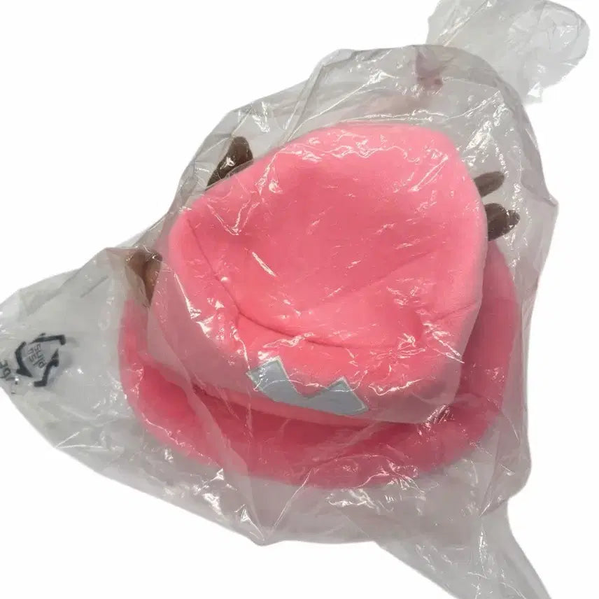 [BUNJANG] Chopa Cosplay Winter Hat / 새상품/ 원피스 쵸파 모자 털모자 코스프레 공용