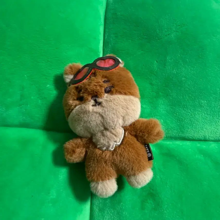 데이식스 데니멀즈 태닝 케