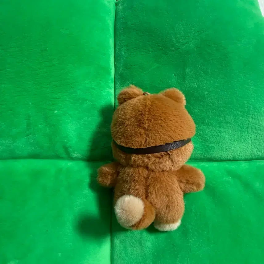 데이식스 데니멀즈 태닝 케