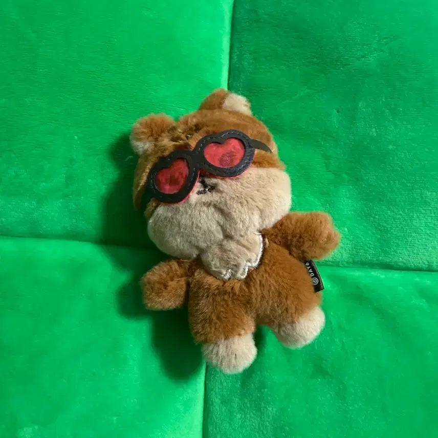 데이식스 데니멀즈 태닝 케